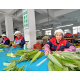 【张家界脱贫故事】瑞市居委会：小康路上阔步行