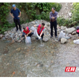 水能养鱼 鱼能护水——武陵源区插旗峪居委会开展鱼苗放生活动