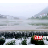 张家界武陵源出现平流雾景观  如梦似幻宛如仙境