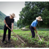 张家界税务：同吃同住同劳动 连心连情促脱贫