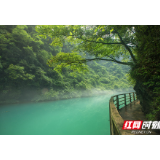 以“两山论”引领高质量绿色发展