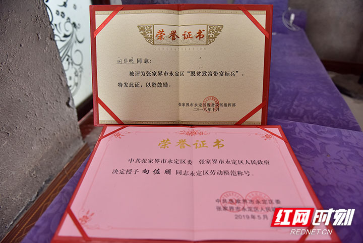 向佐朋的荣誉证书.jpg
