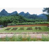 记者探访脱贫路｜三王村：王者风范