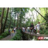 张家界旅游复苏持续升温 景区、酒店、餐饮重现热闹烟火气
