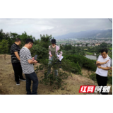 慈利县退耕还林国检获五个100%