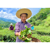 【脱贫攻坚群英谱】王道军：在劳动中创造财富