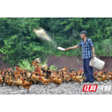 【脱贫攻坚群英谱】向左涛：“我一定要干出个样子来”