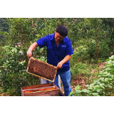 【脱贫攻坚群英谱】赵英超：油茶花开酿“甜蜜”