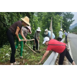 慈利县龙潭河镇：让零龙公路多点色彩
