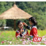 张家界黄龙洞景区：花香引蝶飞舞 游人陶醉其间