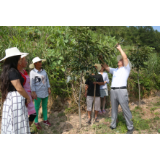 桑植县上河溪村：大力发展产业 助力乡村振兴