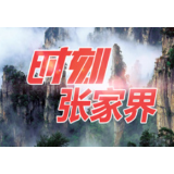 省调研组到慈利县调研工程建设项目审批制度改革工作