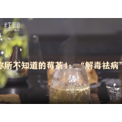 你所不知道的莓茶|“解毒祛病”靠谱吗？