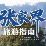 请查收！张家界旅游指南