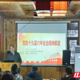 永定区茅岩河镇举办学习贯彻党的十九届六中全会精神宣讲报告会