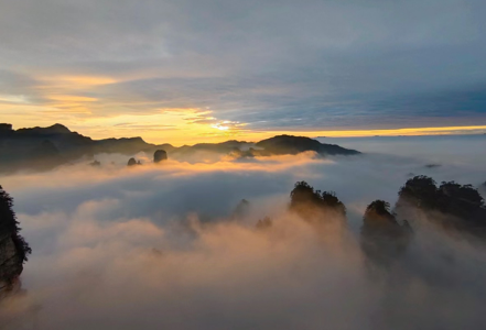 张家界市2月11日（除夕）文化旅游情况