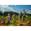 大写的“实干”——《江山如此多娇》观后感