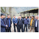 祝云武调研永定区南线乡村旅游发展工作