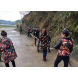 武陵源区协合乡杨家坪村： 自发组织大扫除 尽显浓浓邻里情