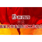 【红观2020】图说：张家界市委组织部工作亮点