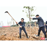 张家界市开展义务植树活动