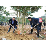 祝云武朱法栋义务植树添绿永定