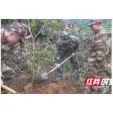 慈利：79名预定新兵积极参与义务植树活动