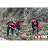 武陵源区天子山街道泗南峪社区开展义务植树