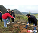 慈利县溪口镇中学：献礼三月，绿植家乡——植树节活动完美收官