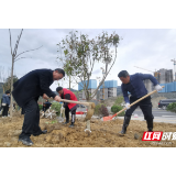 张家界市住建局：共建绿色家园 我们在行动