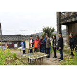 张家界：百名文艺家走进3028厂采风创作