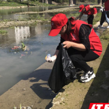 永定区教字垭镇开展“我为群众办实事”实践活动 推动党史学习教育与为民办实事有机融合