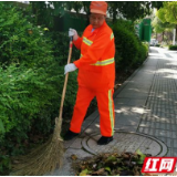 五年扫秃一卡车扫帚的环卫工人——郑凤莲