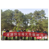 天旅投：植树林护青山 守初心践使命