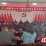 永定区天门山镇召开党史学习教育动员会暨“学史明理”专题研讨会