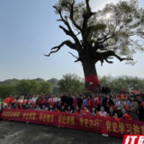 永定区妇保院：唱响妇幼之歌，展示妇幼风采