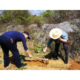 “义务植树 健康永定” 坚持“革命精神” 推进全区卫生健康事业