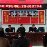 永定区茅岩河镇：“典范”大米界，以赏为励促发展