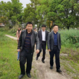 永定区大庸桥街道：筑牢安全生产底线