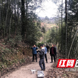 慈利县南山坪乡：开展地质灾害点巡查