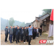 慈利县阳和土家族乡：学党史 忆初心 讲党课