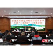 省自然资源厅调研督导张家界市月清“三地两矿”工作