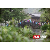 张家界黄龙洞景区：惬意雨中游（组图）