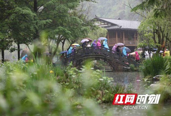 张家界黄龙洞景区：惬意雨中游（组图）