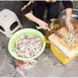 张家界市市场监管局查获一起加工销售澧水流域非法捕捞渔获物案