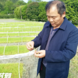 慈利县农业农村局：千方百计打好早稻保苗仗