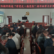 书香阵阵润初心 ——永定区阳湖坪街道“学党史•感党恩”读书班开展学习分享活动