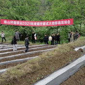 慈利县南山坪乡：田间地头烤烟移栽忙