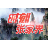 【视频】张家界市七届人大常委会第三十五次会议召开