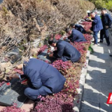 张家界市“我为烈士墓碑密描红”圆满结束，10天共82个单位2808人参与